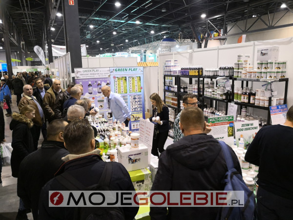 Expo Gołębie 2019