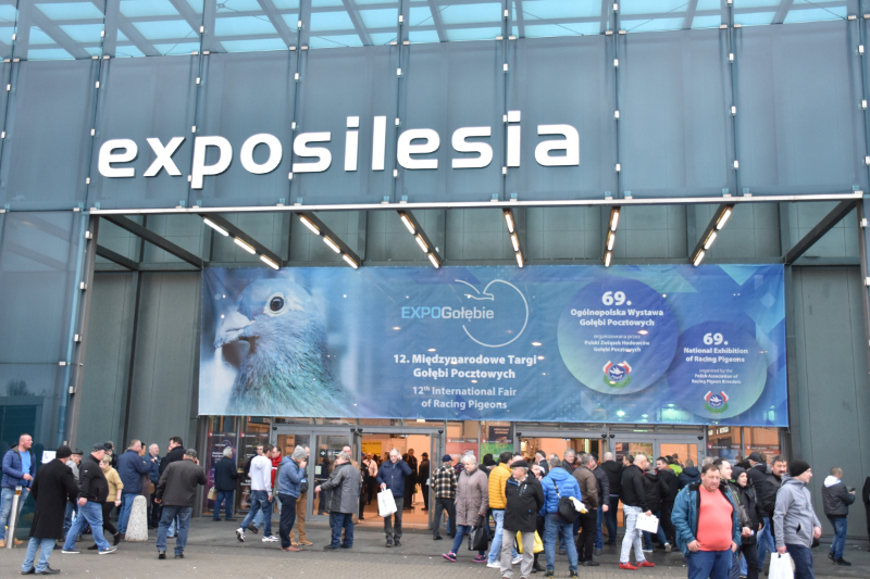 Expo Gołębie 2030