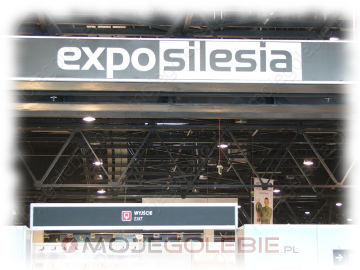 Expo Gołębie 2018